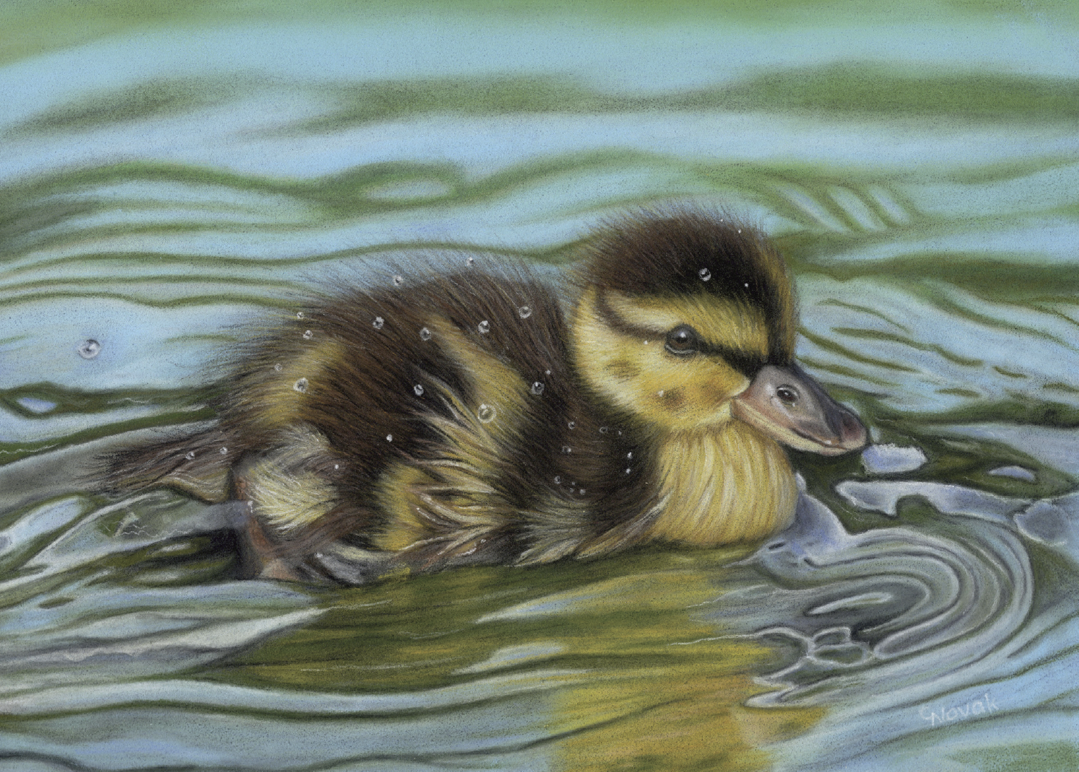 Duckling